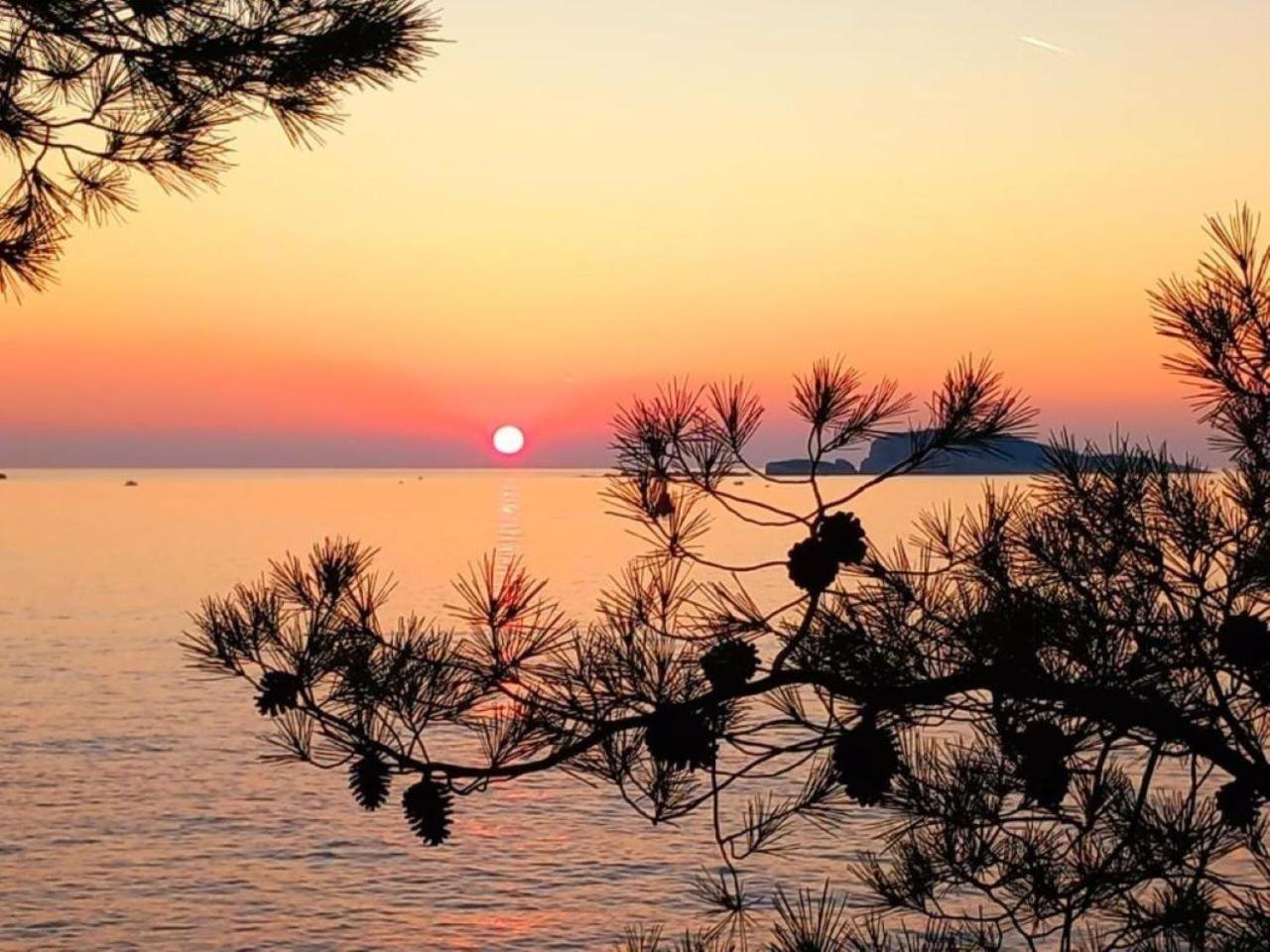 New Apartment Roko Zvekovica -Cavtat,Near Dubrovnik Airport Kültér fotó